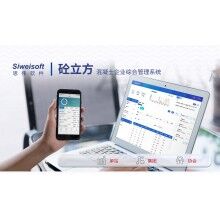 攪拌站系統軟件有哪些？思偉軟件砼行APP